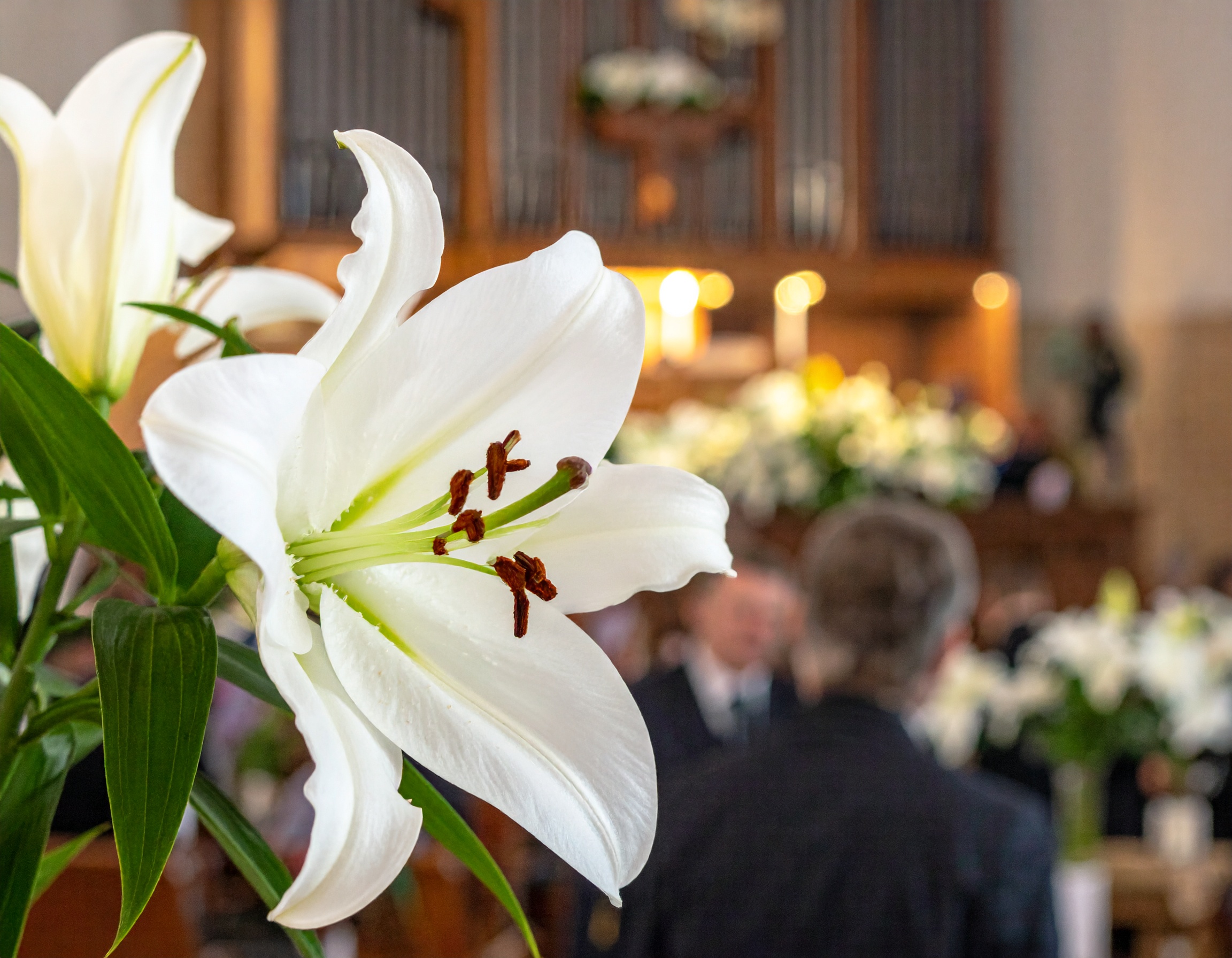 葬儀スライドショー「信号なし」！映らない原因と対処法